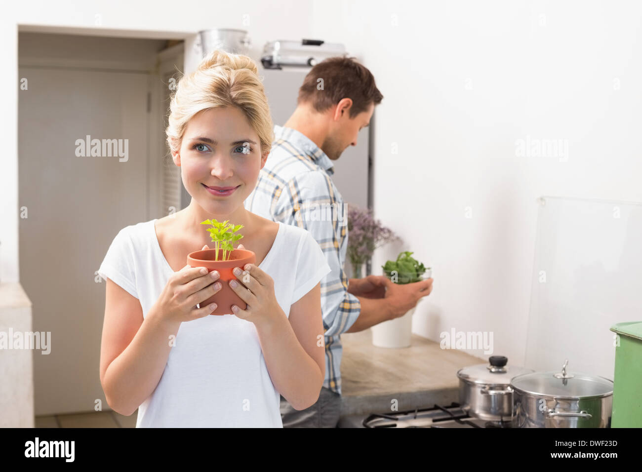 Couple de jeunes plantes en pot dans la cuisine Banque D'Images