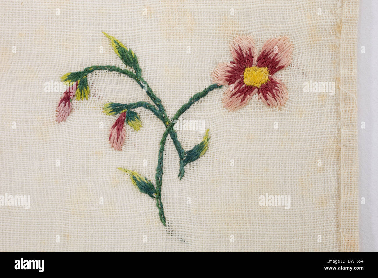 Pelouse en coton, brodé à la main, avec des fleurs sauvages et des motifs floraux sprig, datée entre 1750 et 1790 Banque D'Images