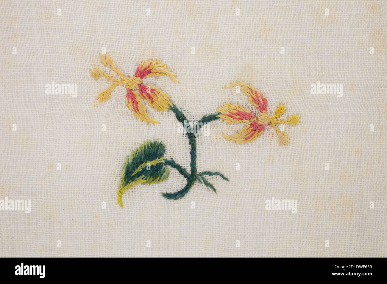Pelouse en coton, brodé à la main, jaune et rouge avec des fleurs sauvages et des motifs floraux, branche date entre 1750 et 1790 Banque D'Images
