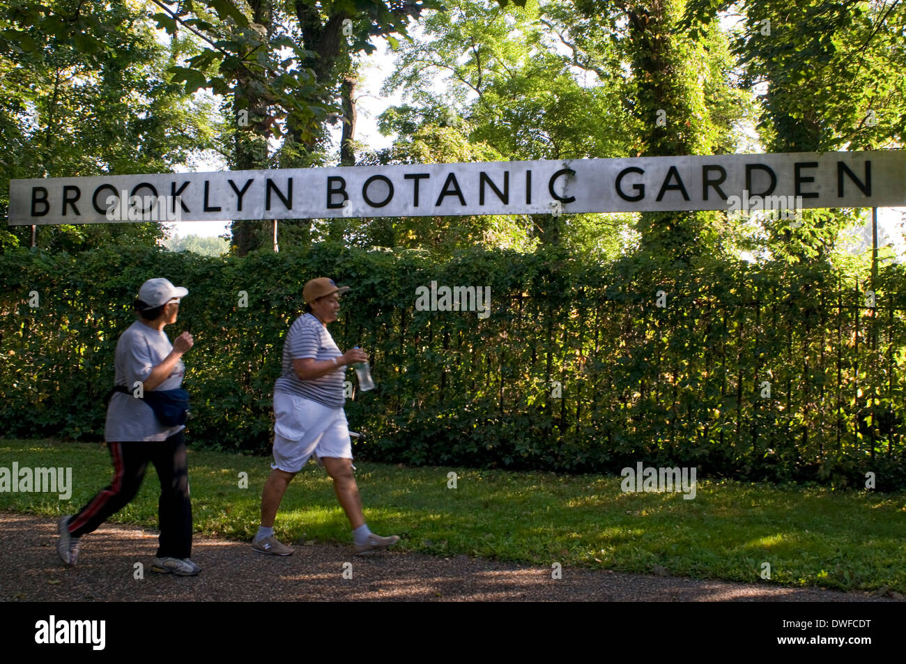 Jardin botanique de Brooklyn. 1000 Washington Avenue. M Prostect Park B-Q. Téléphone 718-623-7200. (Tue-Fri 8h-18h / samedi 10h-18h Banque D'Images