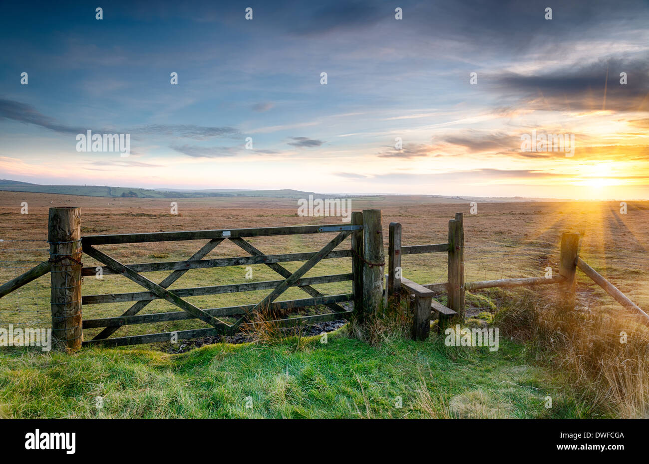 Une porte en bois menant à landes sur Bodmin Moor en Cornouailles Banque D'Images