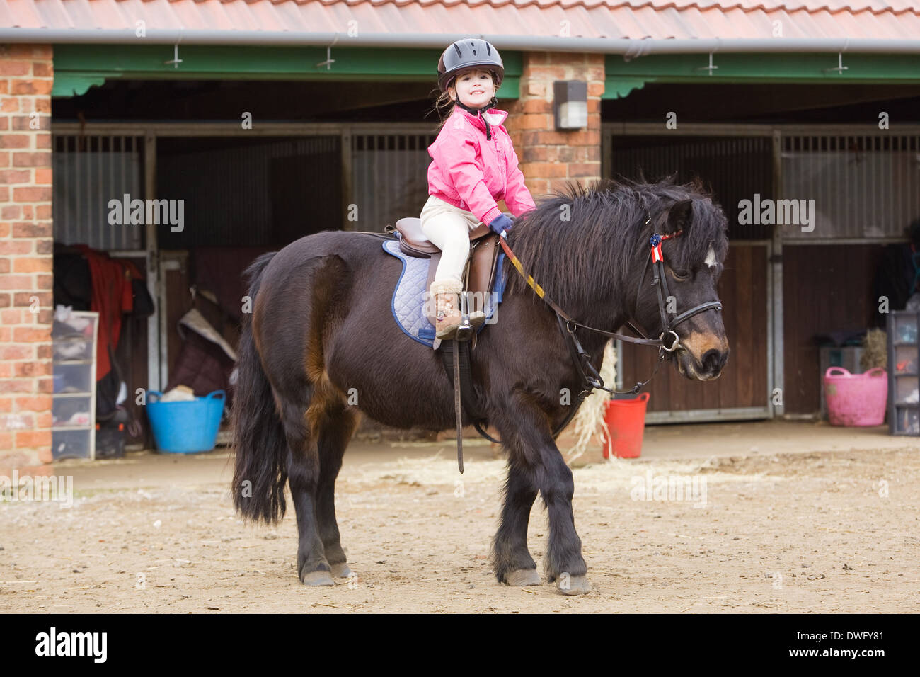 Une fillette de quatre ans avec un poney lors d'une leçon dans le Nord du Lincolnshire, Angleterre, 2014 Banque D'Images