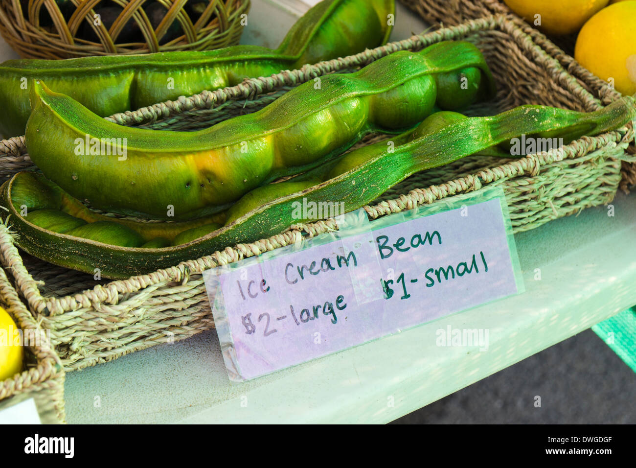 Bean de la crème glacée (Inga edulis). Keauhou Farmers Market, Kailua-Kona, Big Island, Hawaii, USA. Banque D'Images
