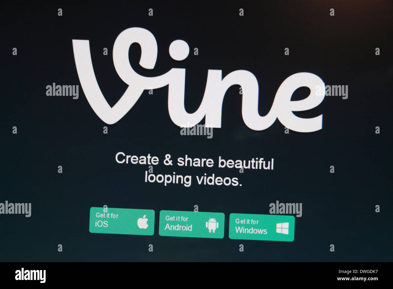 Vigne est une application mobile appartenant à Twitter qui permet à ses utilisateurs de créer et de publier des clips vidéo en boucle courte. Banque D'Images