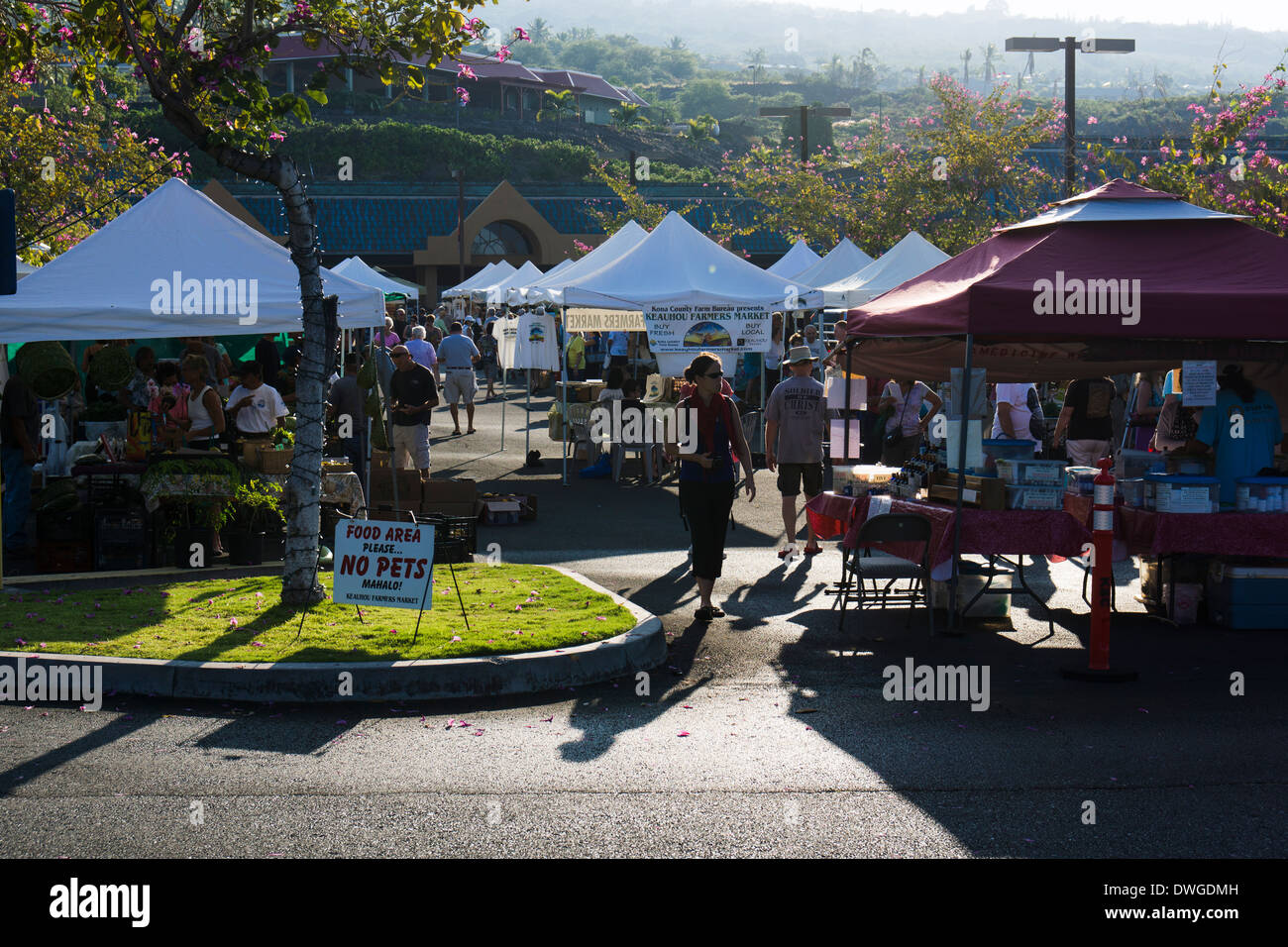 Keauhou Farmers Market, Kailua-Kona, Big Island, Hawaii, USA. Banque D'Images