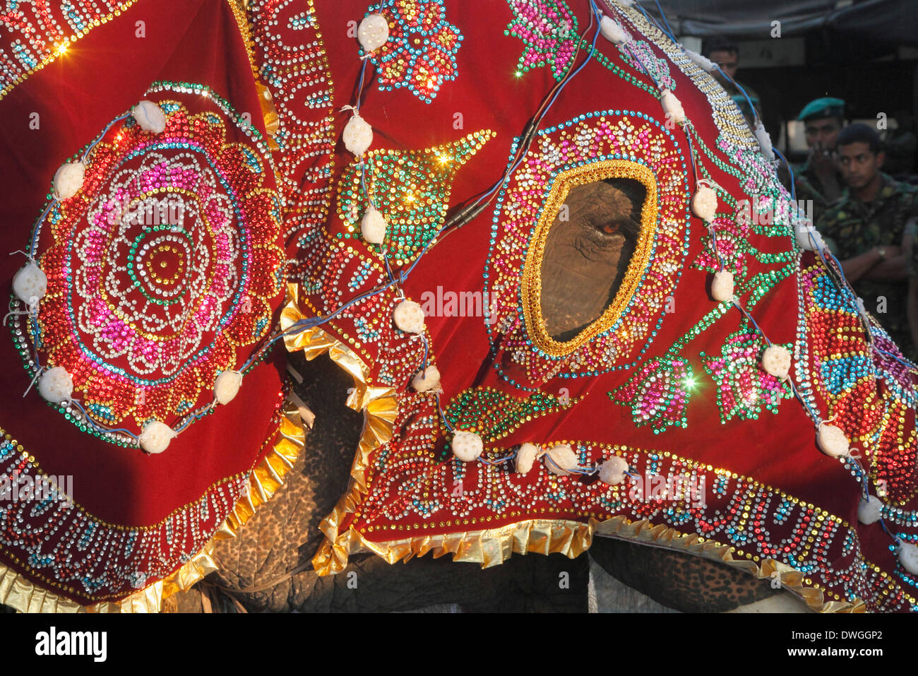 Sri Lanka, Colombo, Navam Perahera festival bouddhiste, éléphant, dressing, Banque D'Images