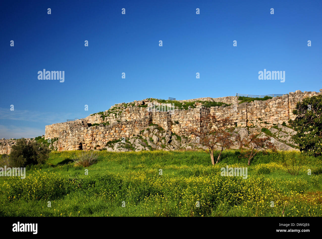 Les murs cyclopéens de l'acropole de l'ancienne cité de Tirynthe ('Tiryntha'), ('Argolide Argolide'), Péloponnèse, Grèce Banque D'Images