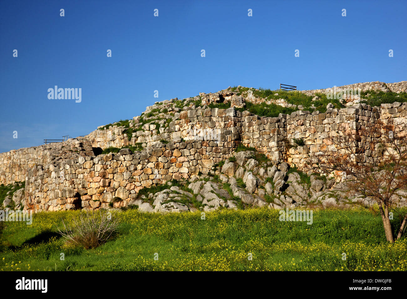 Les murs cyclopéens de l'acropole de l'ancienne cité de Tirynthe ('Tiryntha'), ('Argolide Argolide'), Péloponnèse, Grèce Banque D'Images