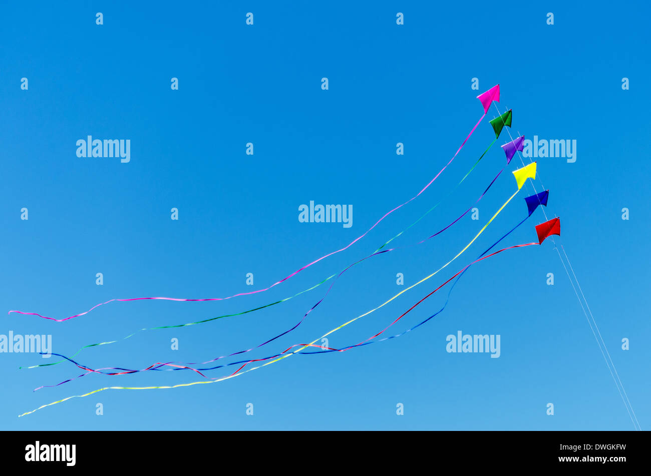 Cerfs-volants de couleur arc-en-ciel voler contre un beau ciel bleu Banque D'Images