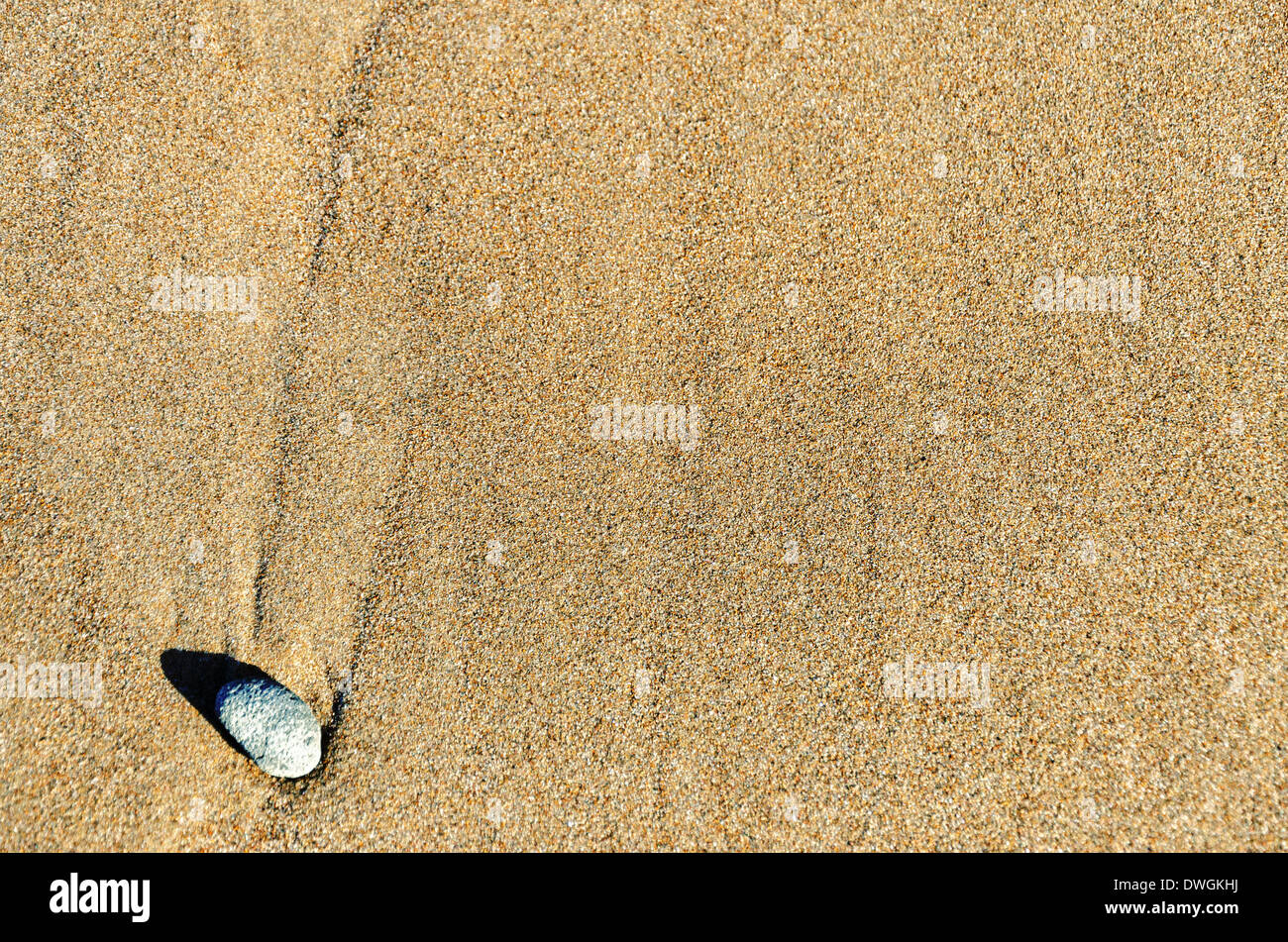 Un seul rocher de sable brun texturé Banque D'Images