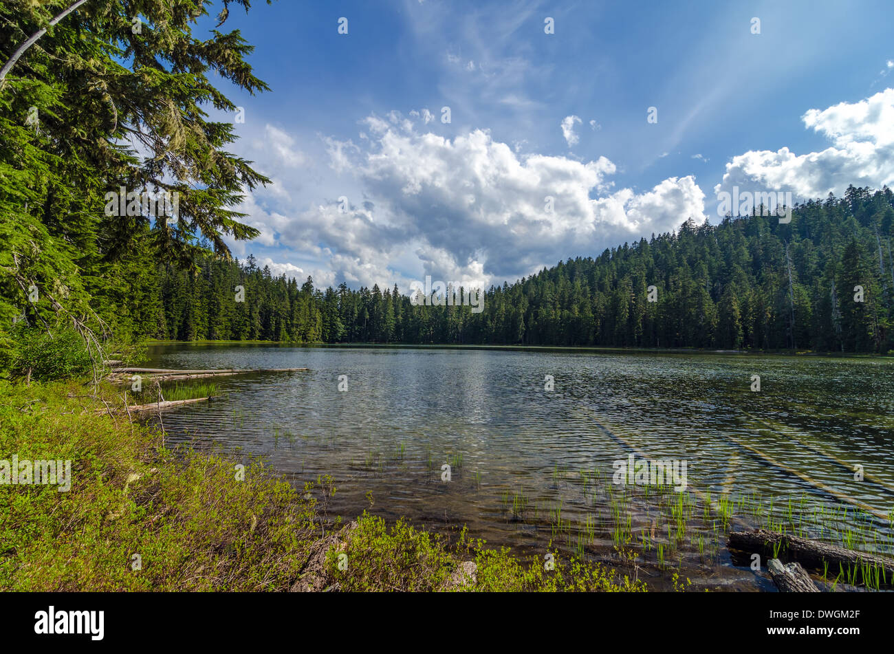 Le Lac Supérieur dans le Mt. Hood National Forest Banque D'Images