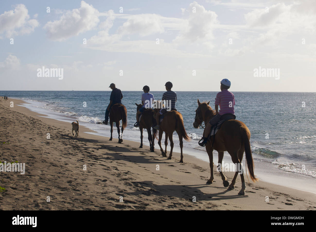 Les gens de l'équitation au coucher du soleil sur la plage. Banque D'Images