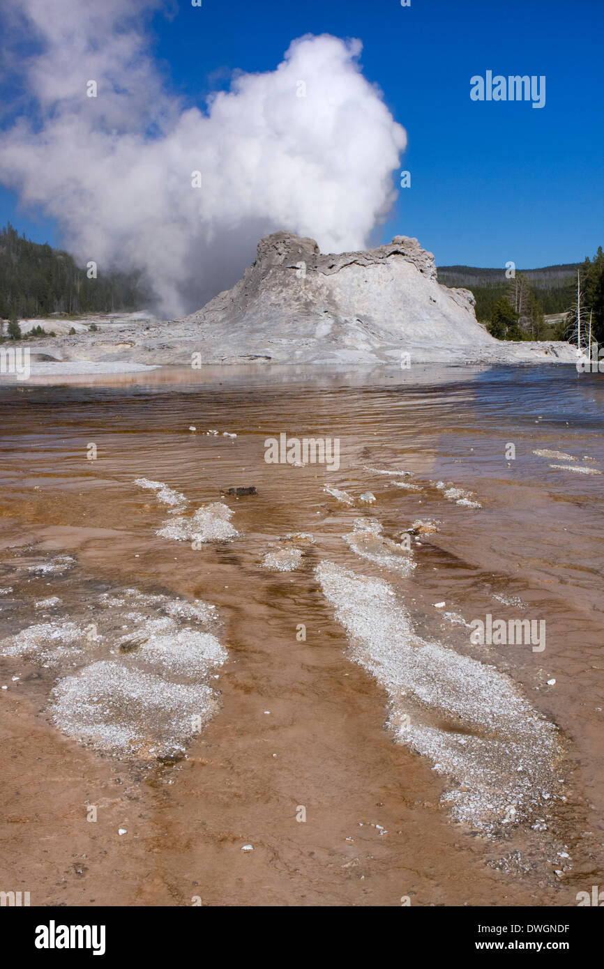 Château dans la région de geyser Geyser Basin éclate, le Parc National de Yellowstone, Wyoming, USA. Banque D'Images