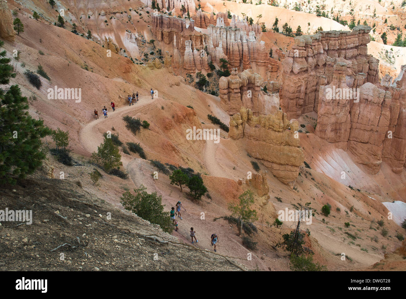 Bryce Canyon, Utah, USA-août 10,2012:les gens à pied le sentier du parc national de Bryce Canyon Banque D'Images