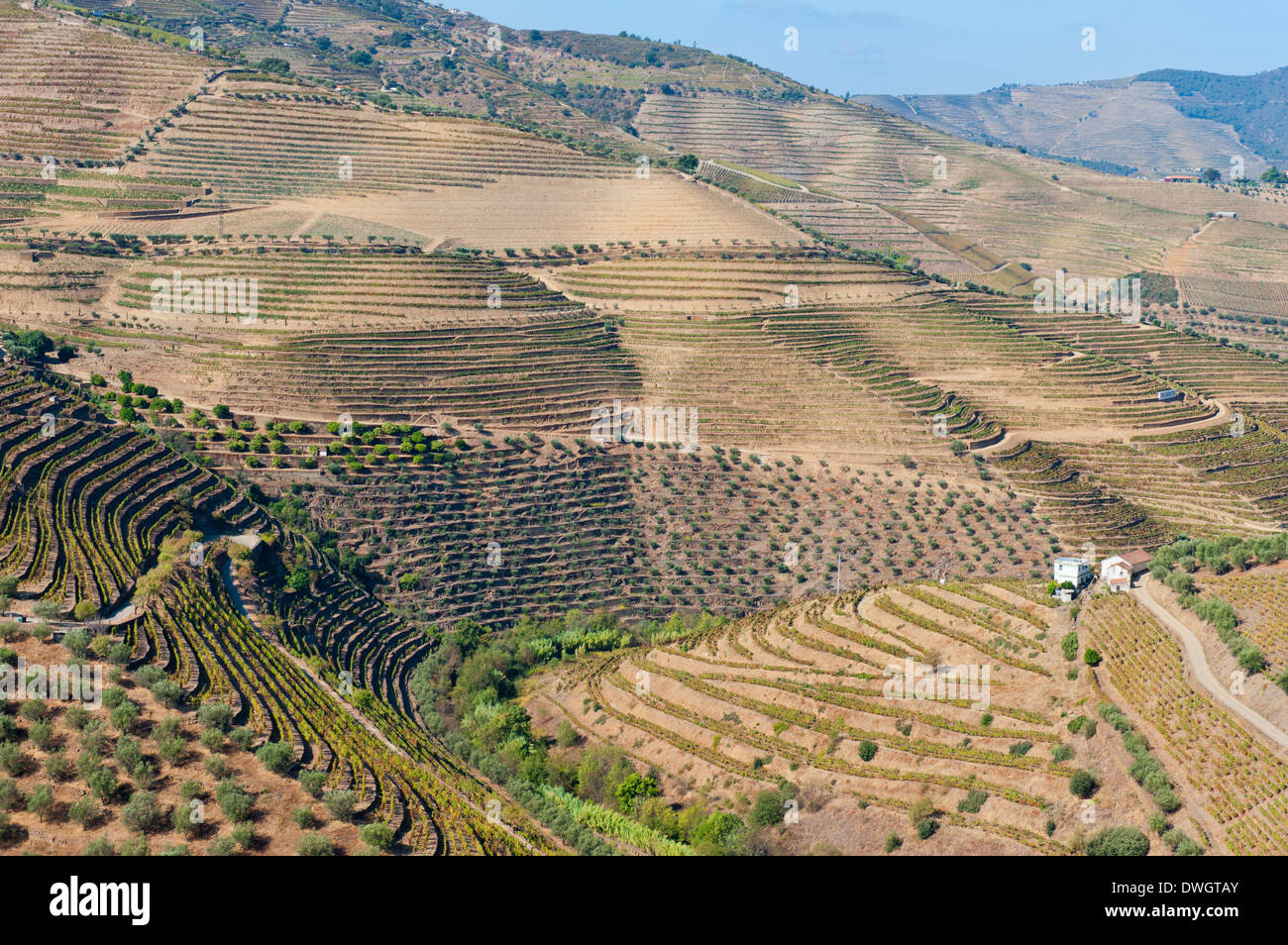 Région viticole du Haut-Douro, Banque D'Images