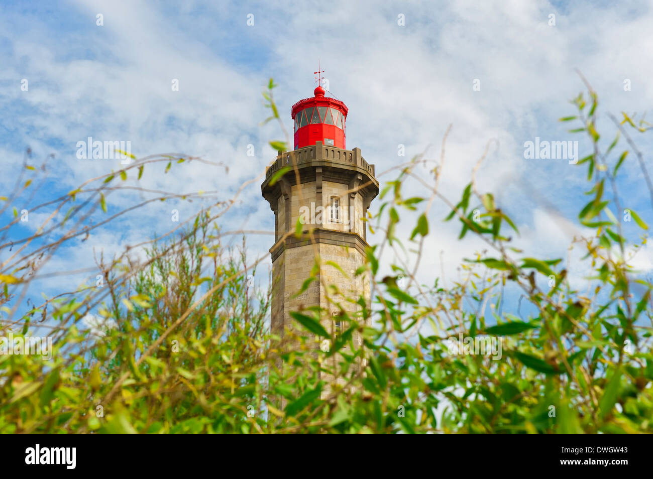 Phare des Baleines, Saint Clement des Baleines Banque D'Images