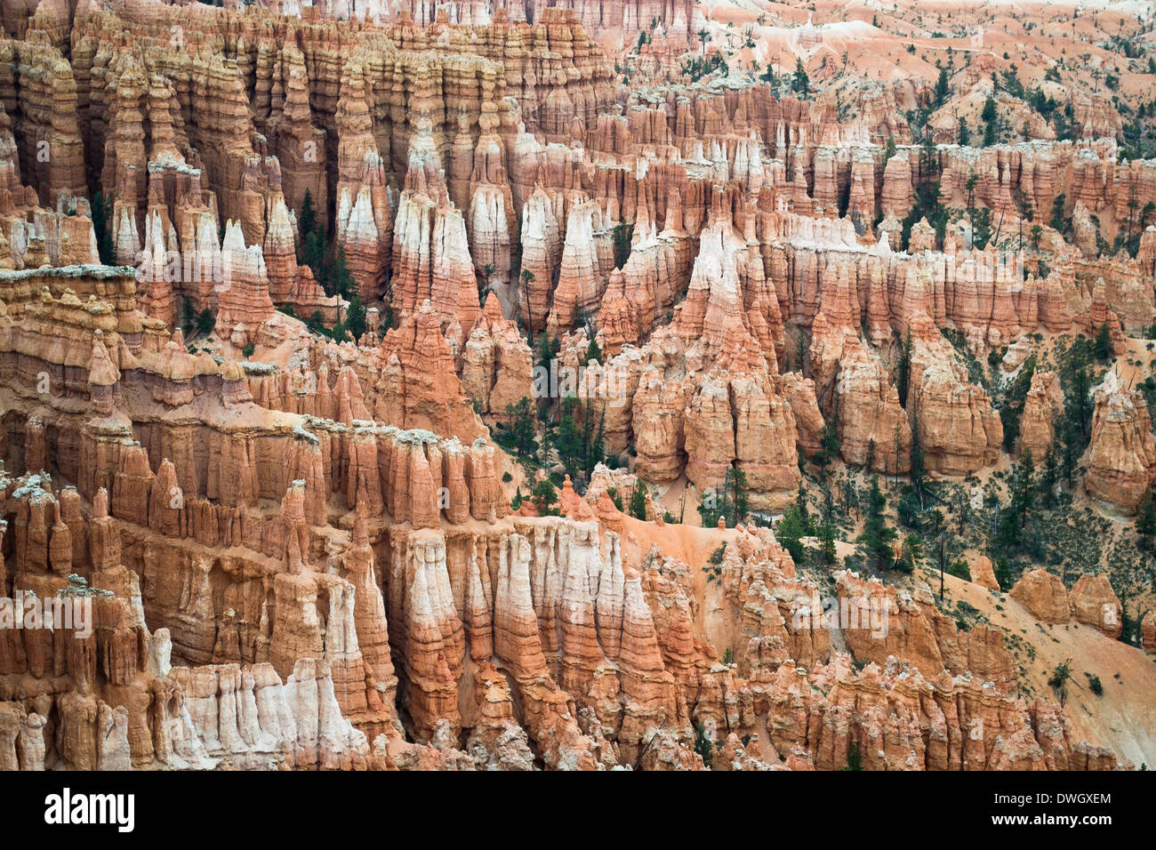 Bryce Canyon, Utah, USA-août 10,2012:vue du Bryce Canyon Banque D'Images