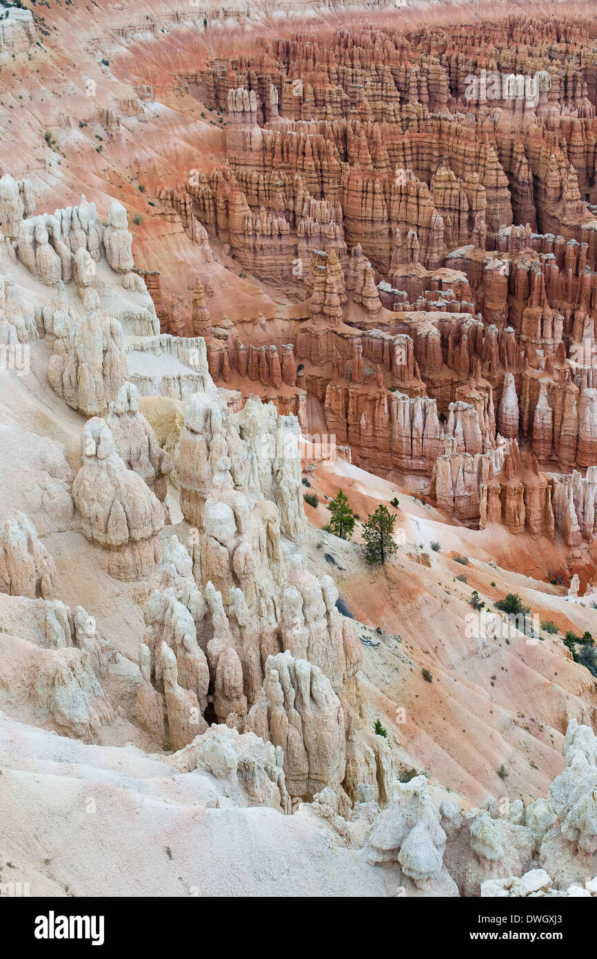 Bryce Canyon, Utah, USA-août 10,2012:vue du Bryce Canyon Banque D'Images
