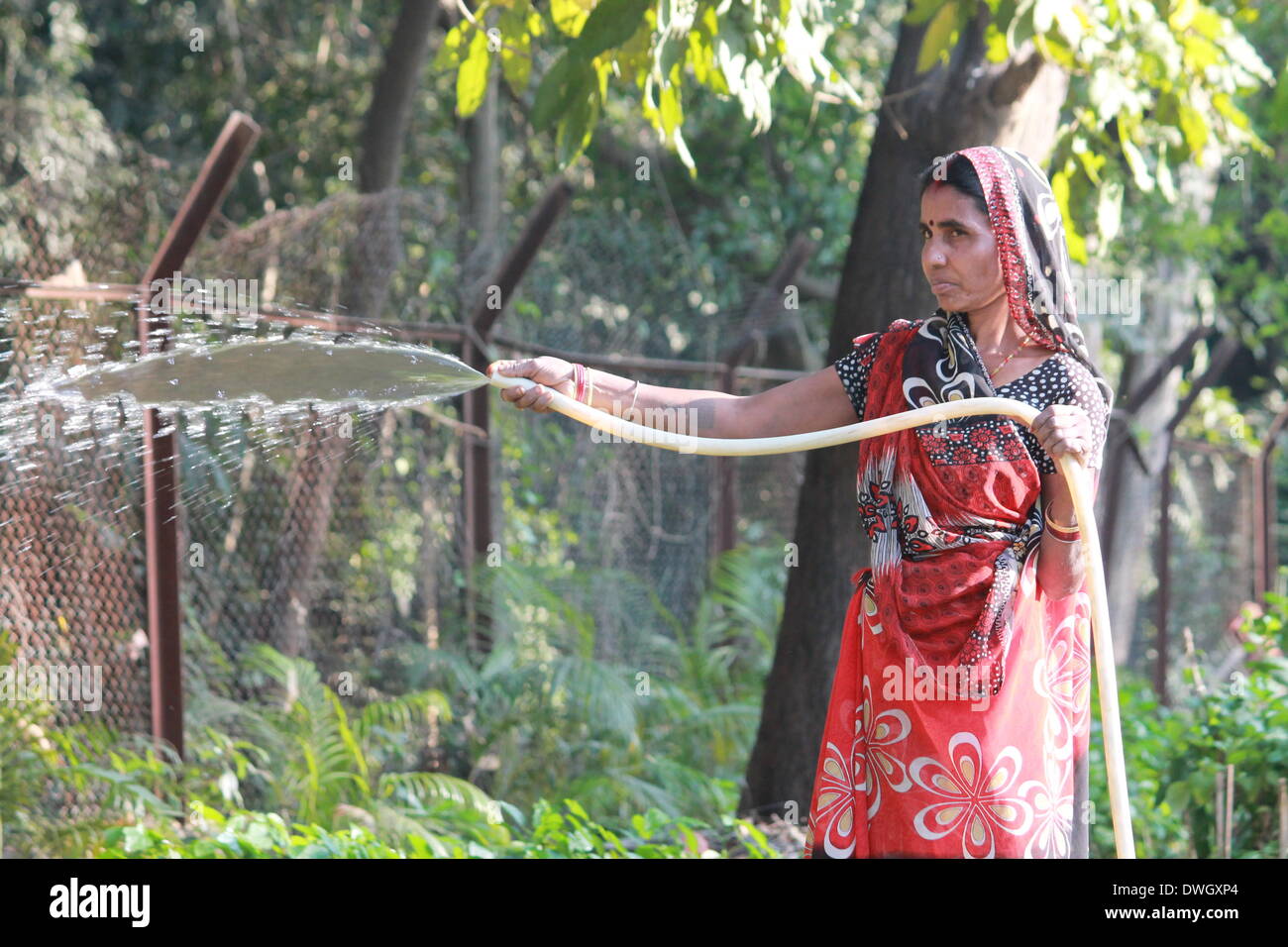 Bailey Road, Patna, Bihar, Inde, le 08 mars, 2014. Le travail des femmes au travail pépinière plantation sur la Journée internationale de la femme. Photo par Rupa Ghosh/Alamy Live News. Banque D'Images