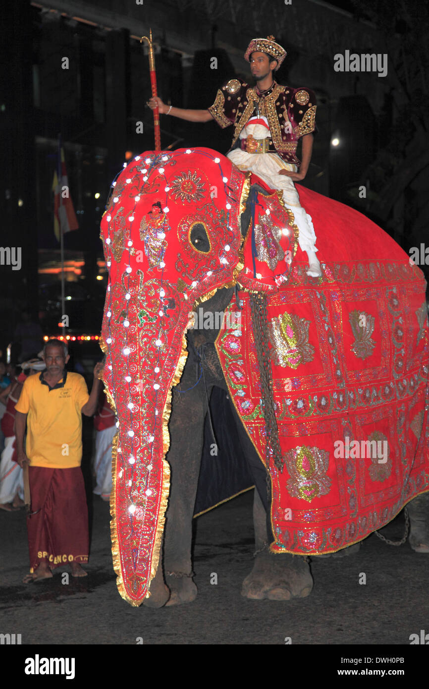 Sri Lanka, Colombo, Navam Perahera, festival, l'éléphant, Banque D'Images