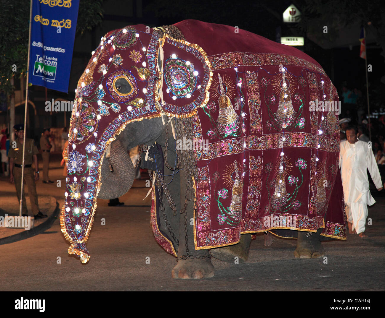 Sri Lanka, Colombo, Navam Perahera, festival, l'éléphant, Banque D'Images