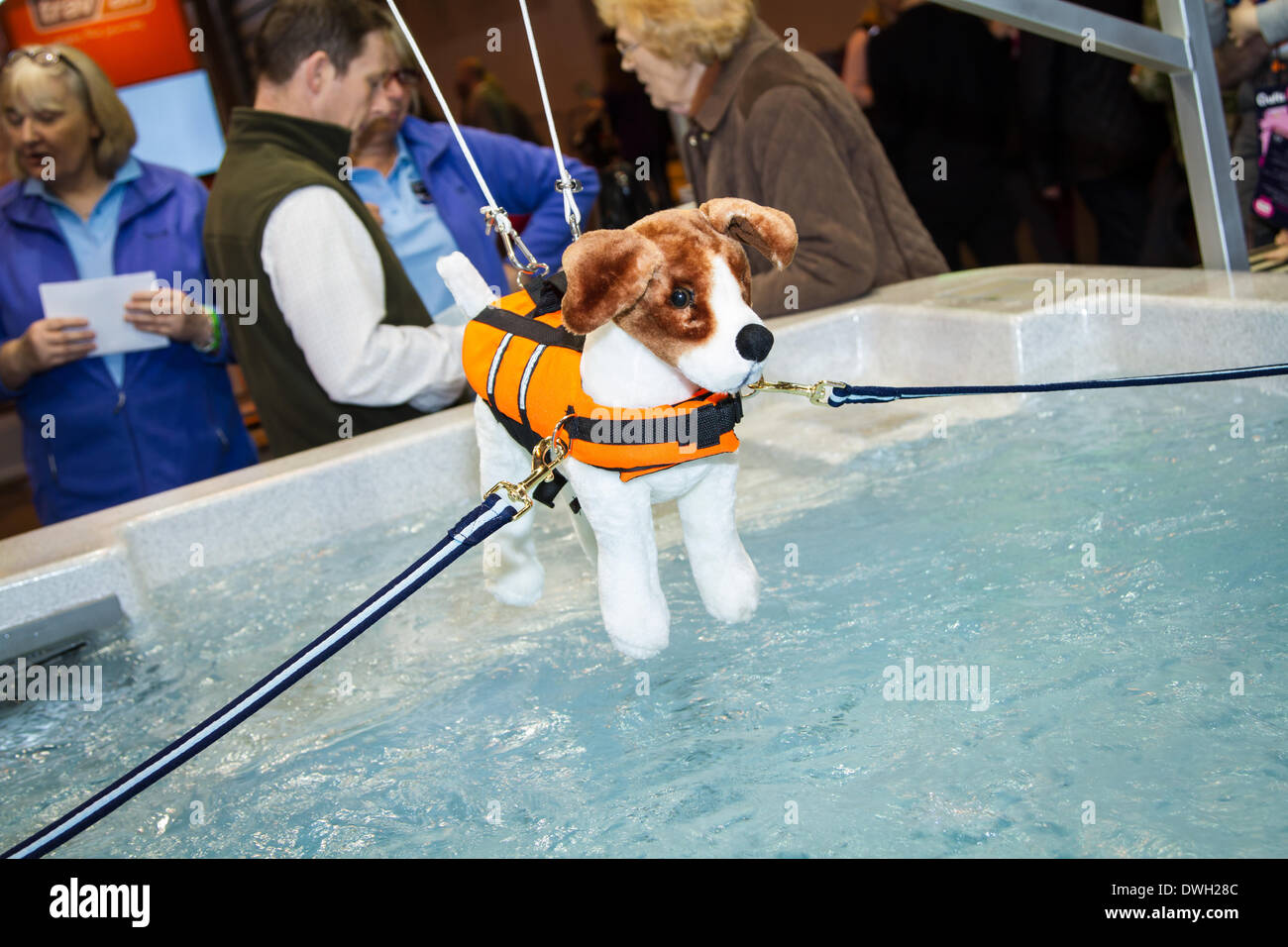 Photos prises à la Crufts 2014 show à Birmingham UK Banque D'Images