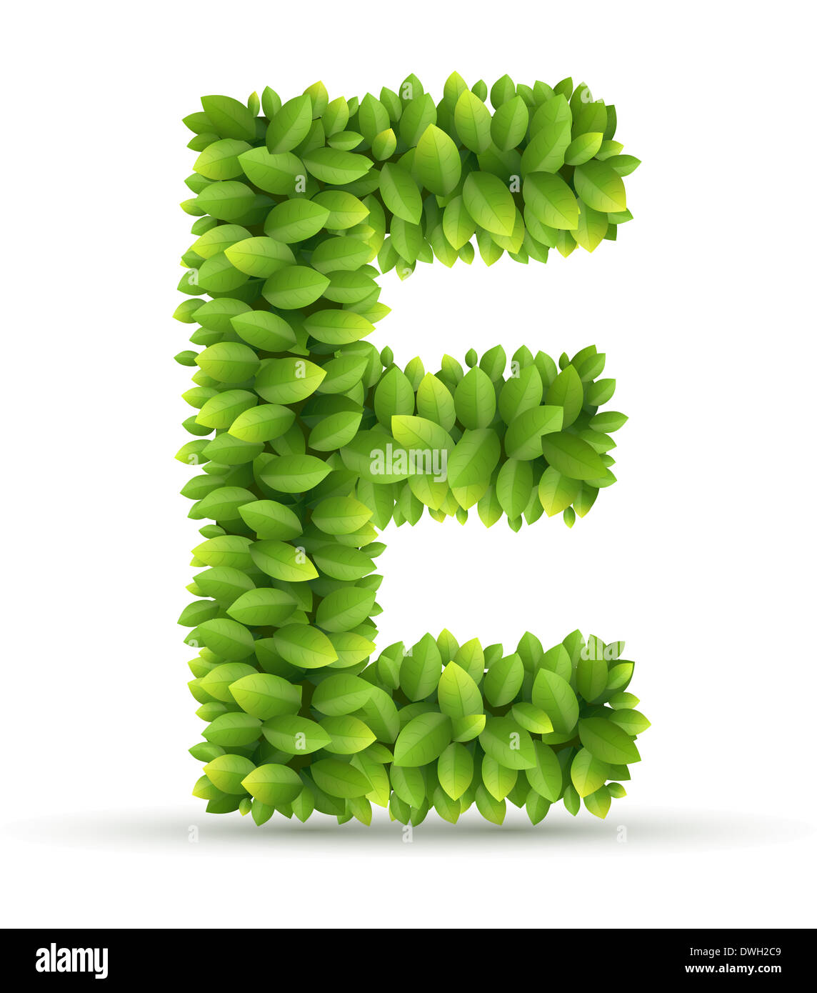 Alphabet lettre E, vecteur de feuilles vertes Banque D'Images