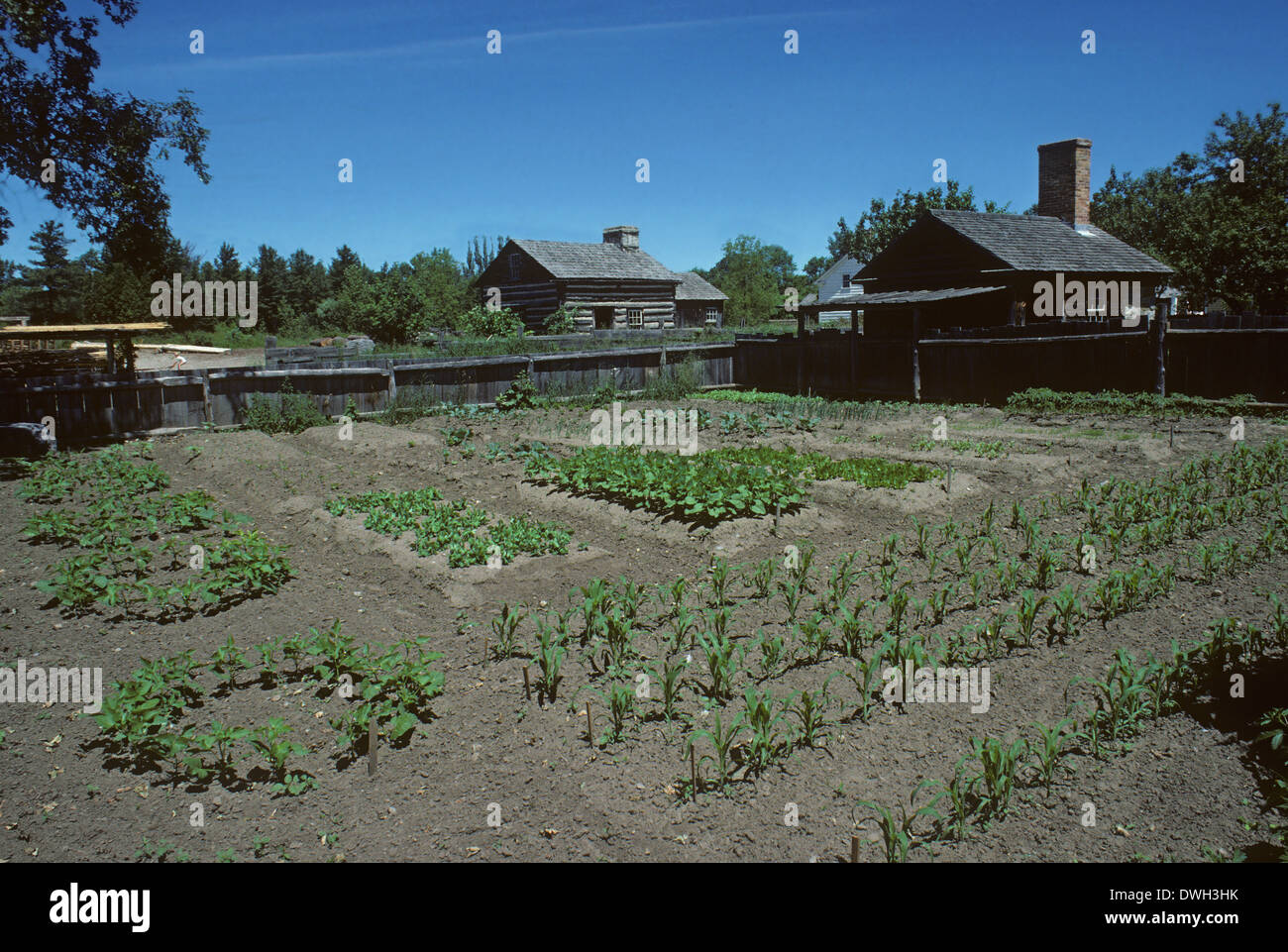 Début de potager, pionnier des bâtiments, Upper Canada Village, Ontario, Canada Banque D'Images