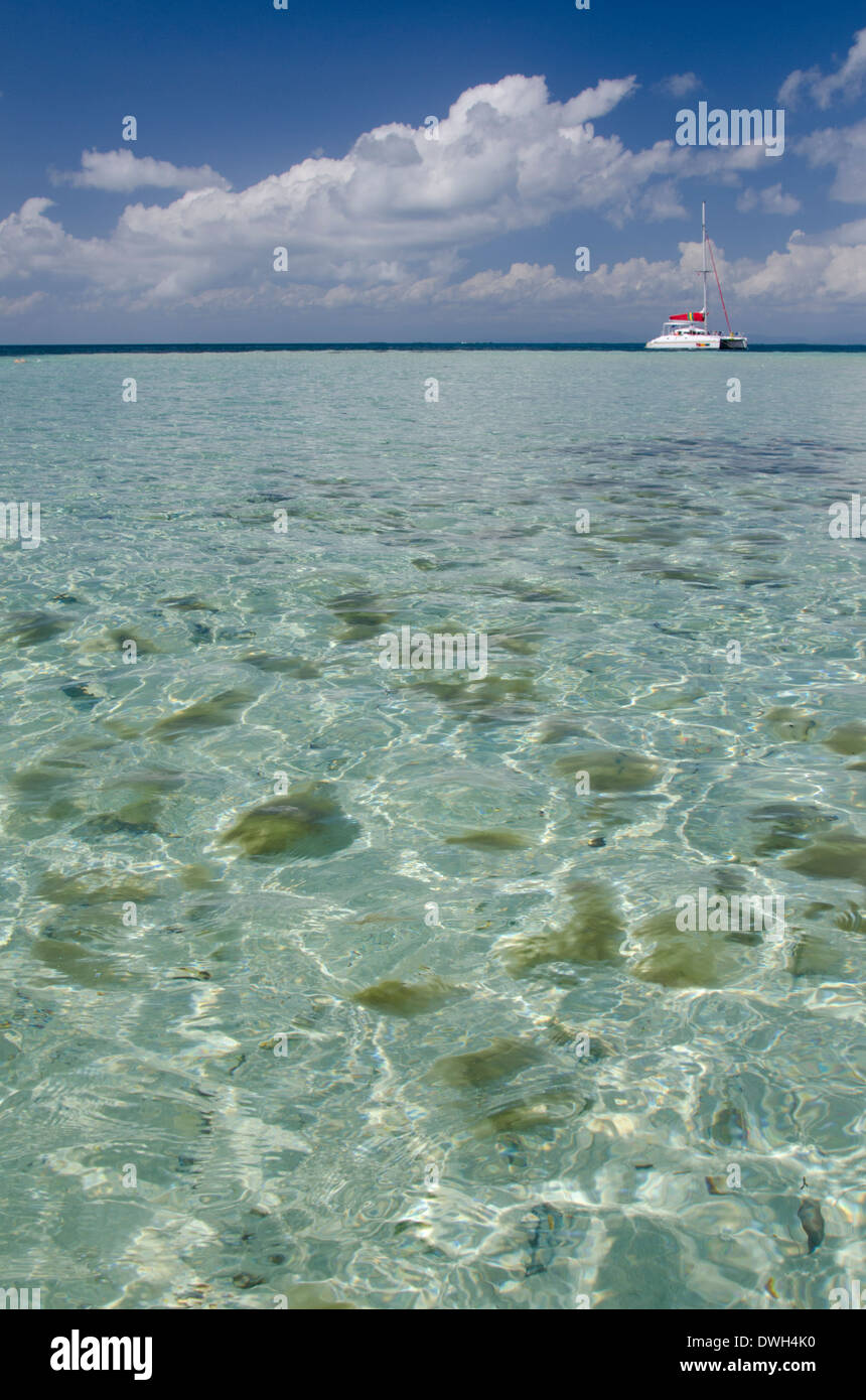 Belize, district de Stann Creek. Caye du sud (UNESCO), 12-acre île tropicale dans la mer des Caraïbes. Banque D'Images