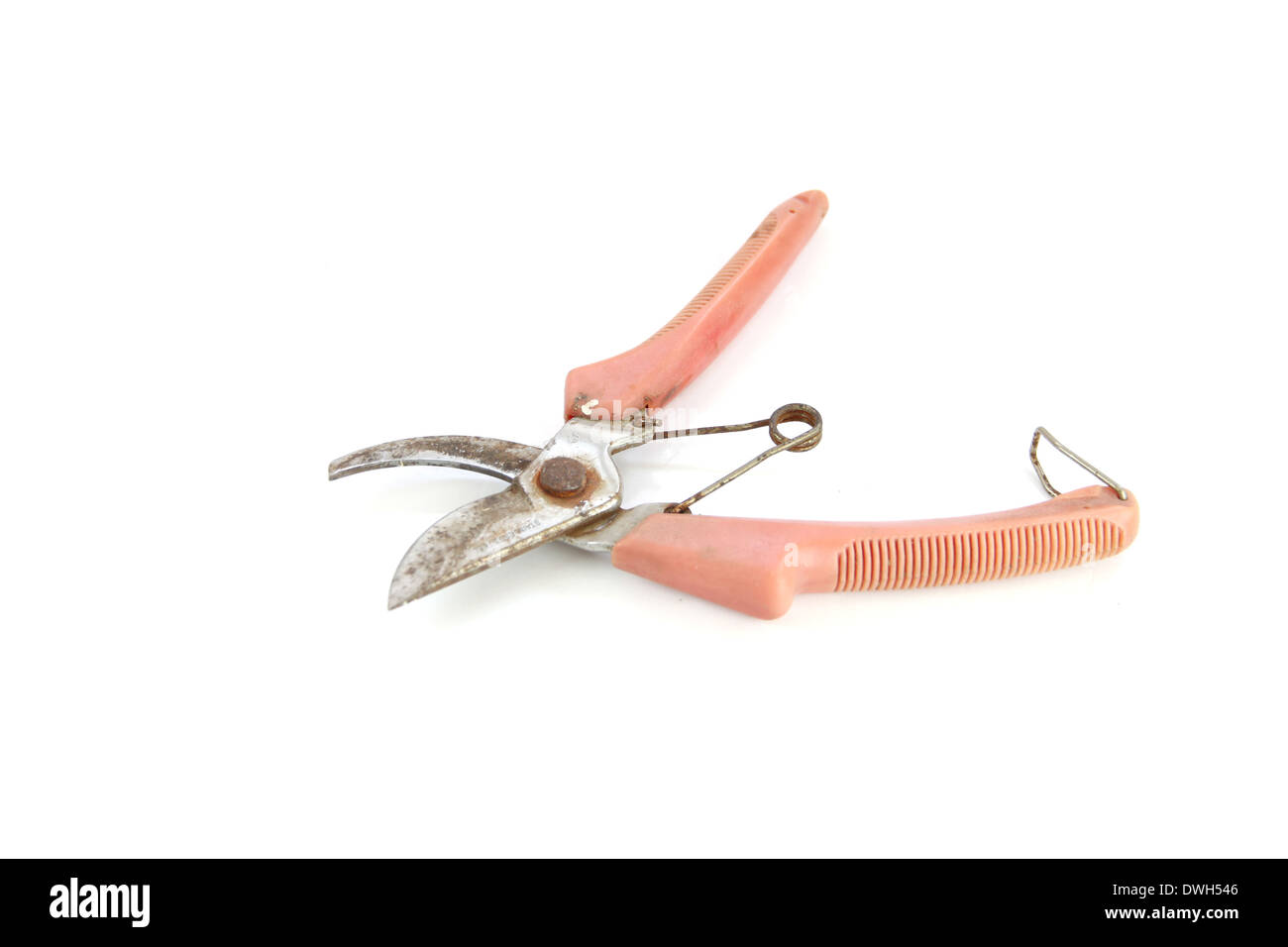 Ancien outil sécateur isolé sur fond blanc. Banque D'Images