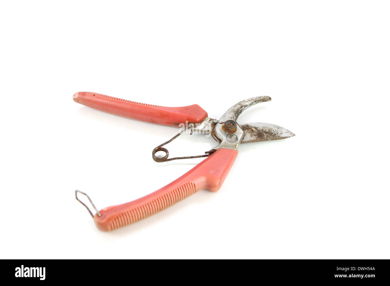 Ancien outil sécateur isolé sur fond blanc. Banque D'Images