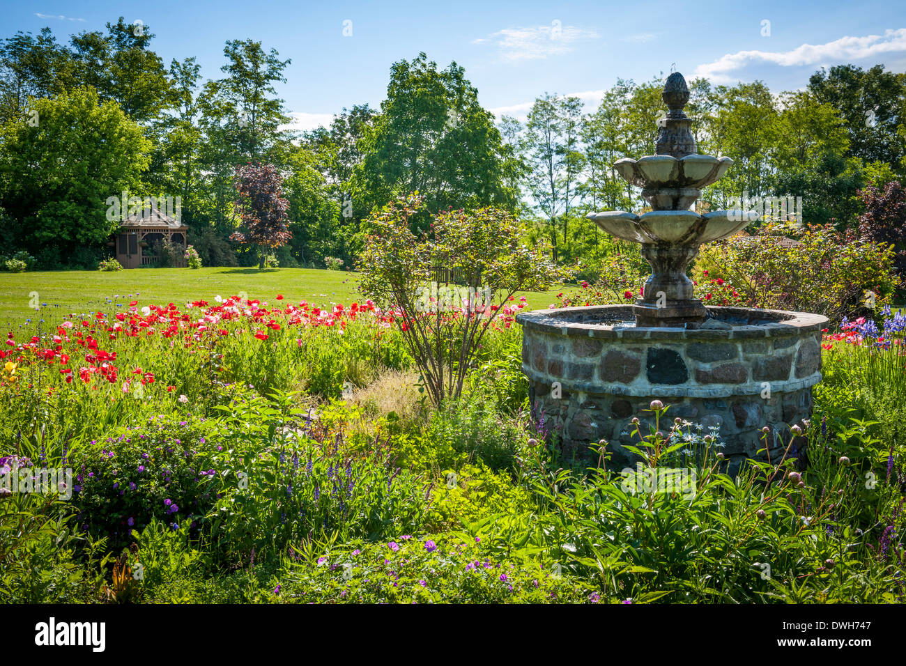 Jardin verdoyant avec des gradins fontaine en pierre Banque D'Images