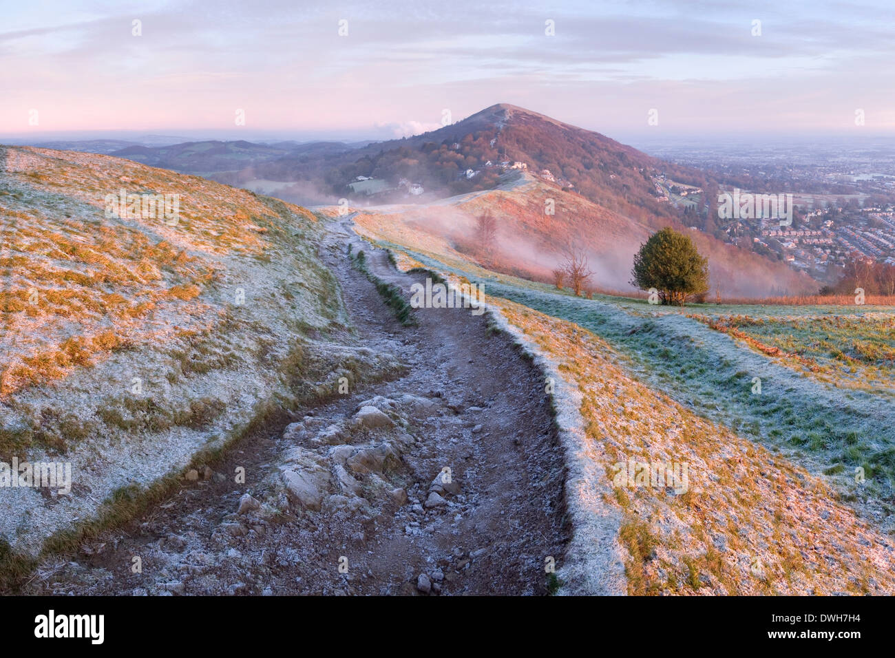 Un sentier très usées sur la persévérance Hill, collines de Malvern, est moulé dans l'ombre de la première lumière de l'aube. Banque D'Images