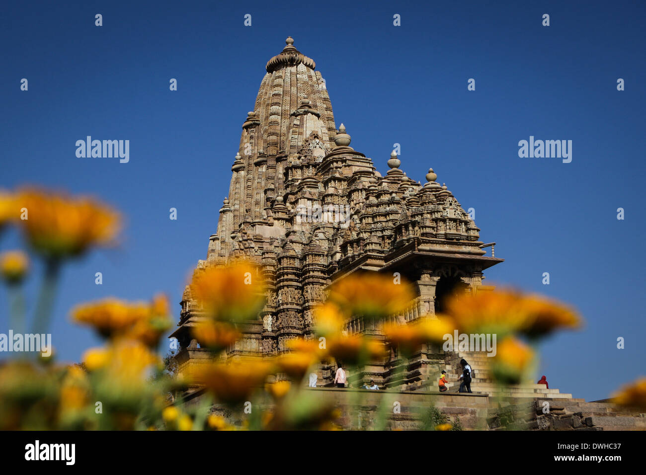 (140309) -- le Madhya Pradesh, le 9 mars 2014 (Xinhua) -- Photo prise le 8 mars 2014 présente le Temple de Kandariya Le Khajuraho group of monuments dans le Madhya Pradesh de l'Inde. Le Khajuraho group of monuments, ou les temples de Khajuraho en Madhya Pradesh de l'Inde, ont été construites au cours de la dynastie des Chandella, qui a atteint son apogée entre 950 et 1050. Seulement environ 20 temples subsistent ; elles se classent en trois groupes distincts et appartiennent à deux religions différentes -- l'Hindouisme et le jaïnisme. Ils établissent un équilibre parfait entre l'architecture et la sculpture. Les temples de Khajuraho sont décorées avec une profu Banque D'Images