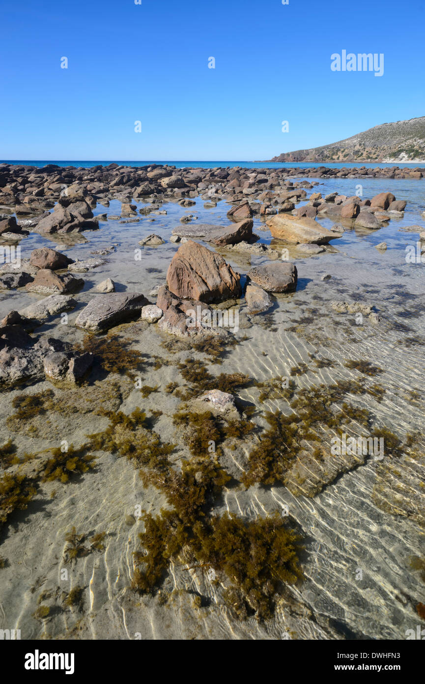 Stokes Bay, Kangaroo Island, Australie du Sud, SA, Australie Banque D'Images
