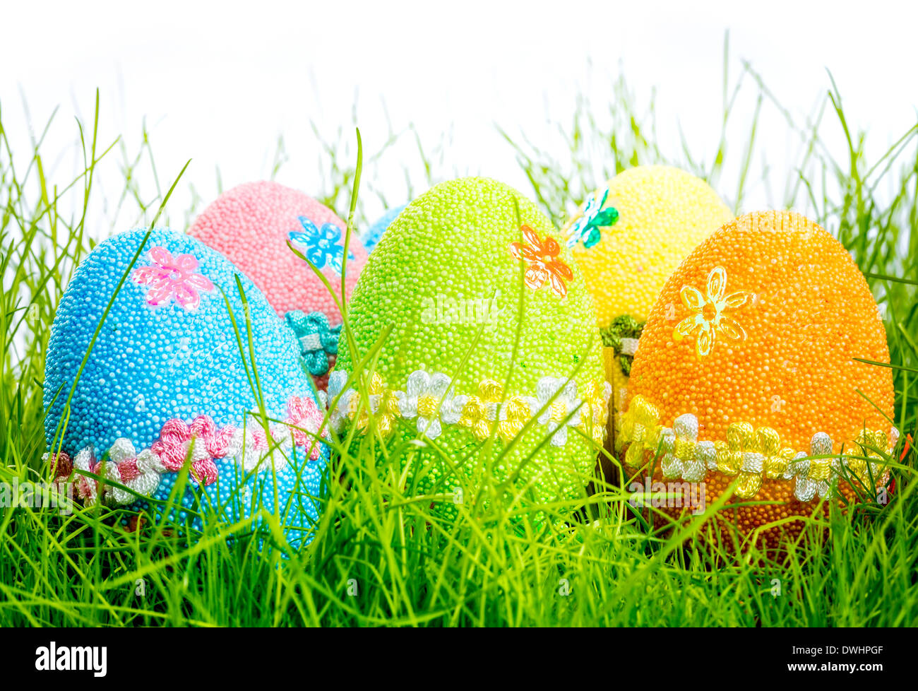 Oeufs de Pâques décorés dans l'herbe sur fond blanc Banque D'Images