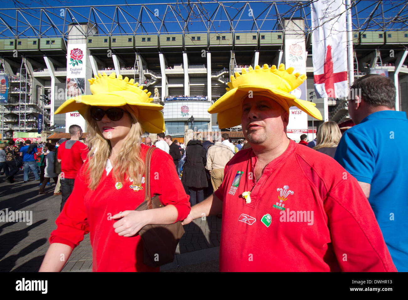 Welsh Fans Daffodil Photos Welsh Fans Daffodil Images Alamy