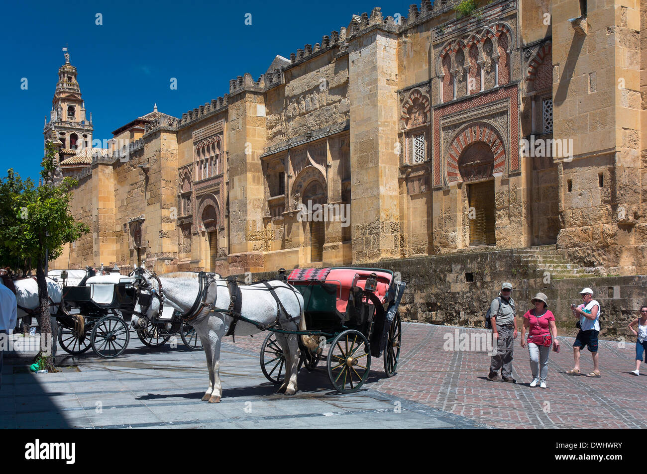 Mosquée arabe (cathédrale) et de voitures à cheval, Cordoue, Andalousie, Espagne ; Europe Banque D'Images