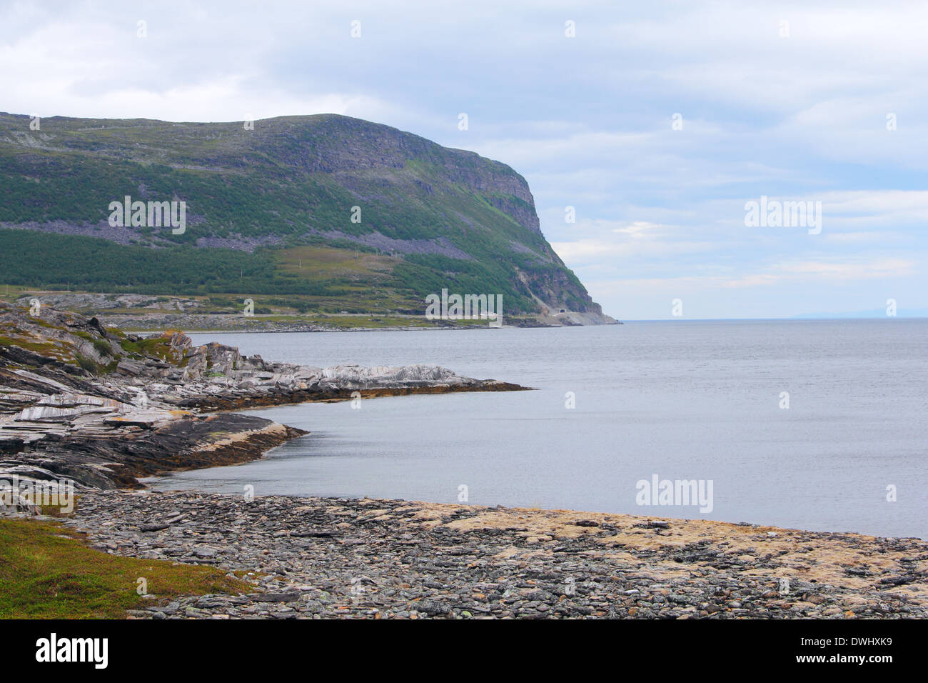 Paysage norvégien du nord avec les fjords, montagnes et sur la rive avec moss Banque D'Images