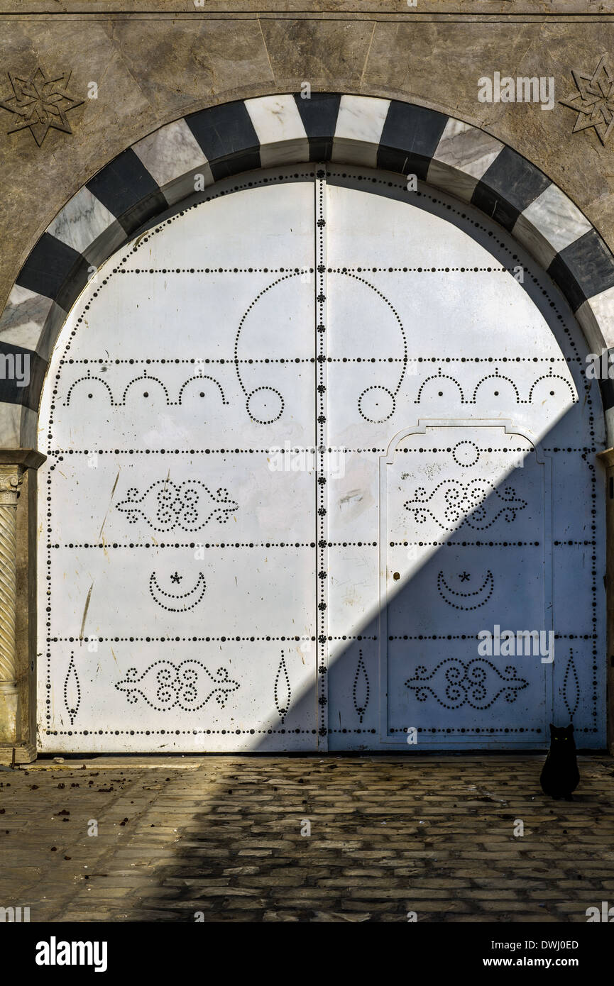 L'Afrique du Nord, Tunisie, Sidi Bou Said. Un chat devant de porte traditionnelle tunisienne typique. Banque D'Images