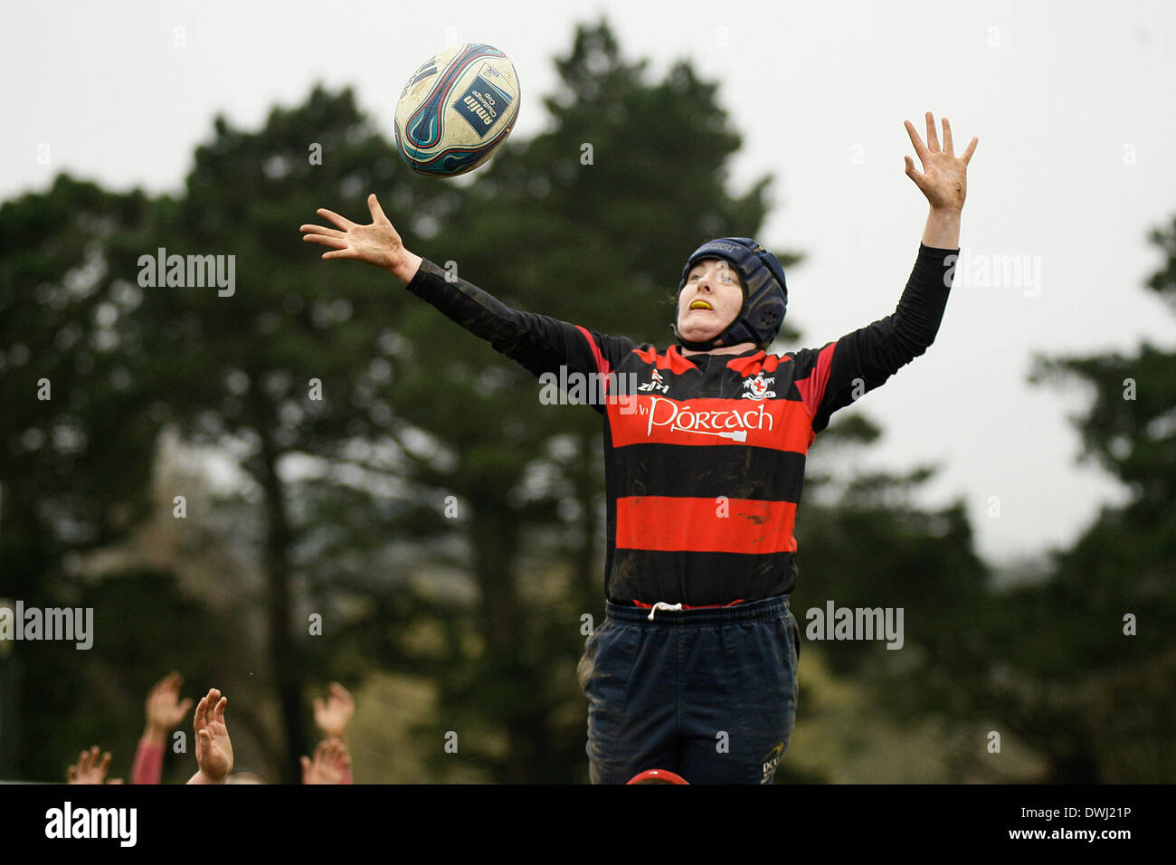 9 mars 2014 : RUGBY Wexford renardes v Tullamore, joué à Park Lane, Wexford renardes Rugby Club, Wexford. Photos Michael Cullen/irlandais Photo.org Banque D'Images