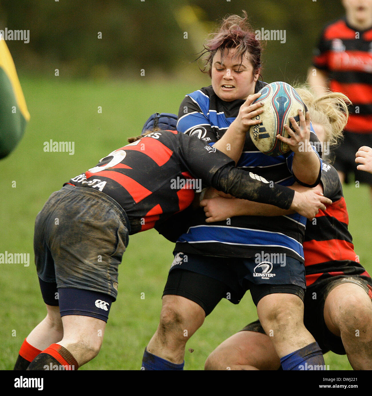 9 mars 2014 : RUGBY Wexford renardes v Tullamore, joué à Park Lane, Wexford renardes Rugby Club, Wexford. Photos Michael Cullen/irlandais Photo.org Banque D'Images