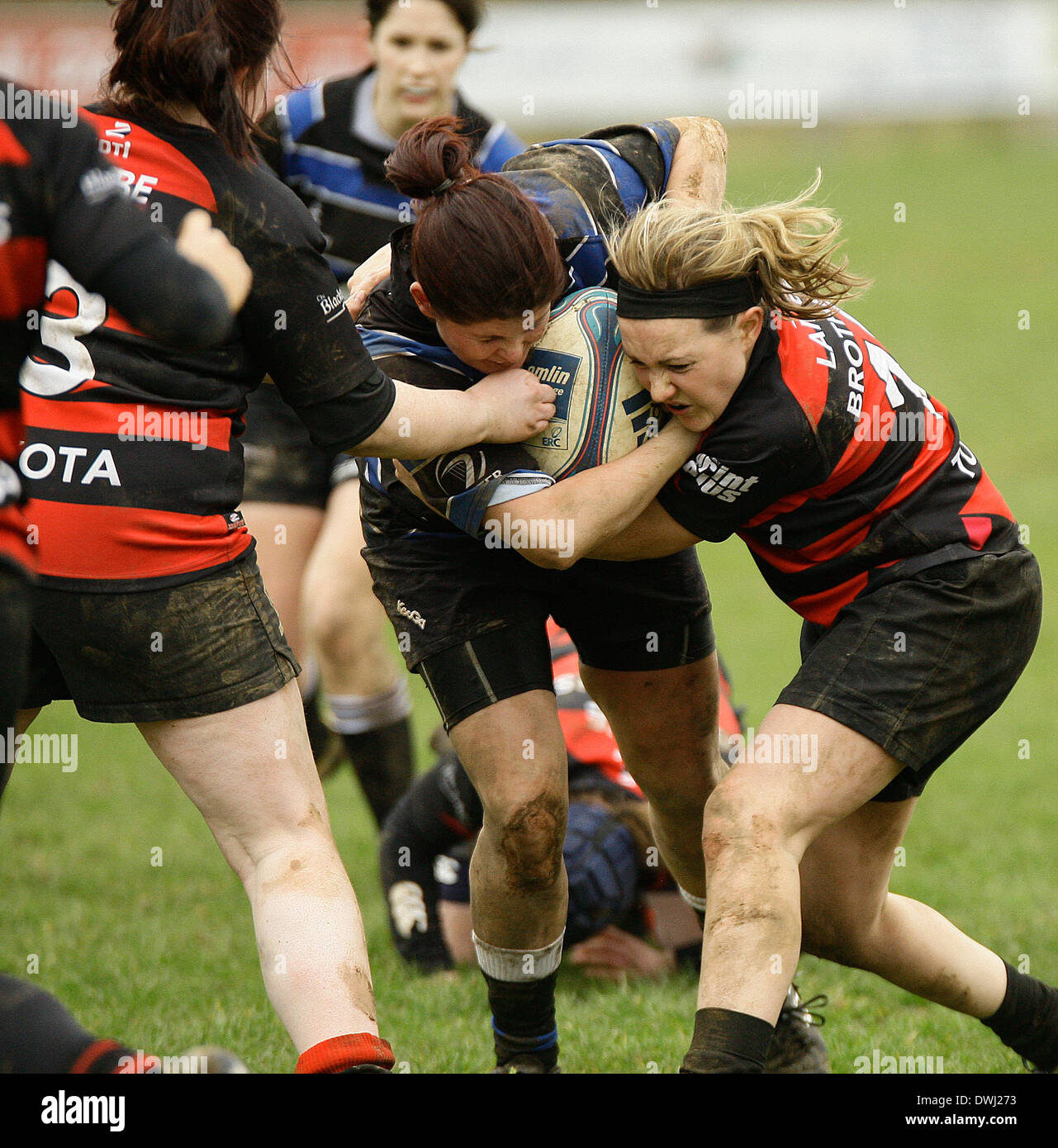 9 mars 2014 : RUGBY Wexford renardes v Tullamore, joué à Park Lane, Wexford renardes Rugby Club, Wexford. Photos Michael Cullen/irlandais Photo.org Banque D'Images