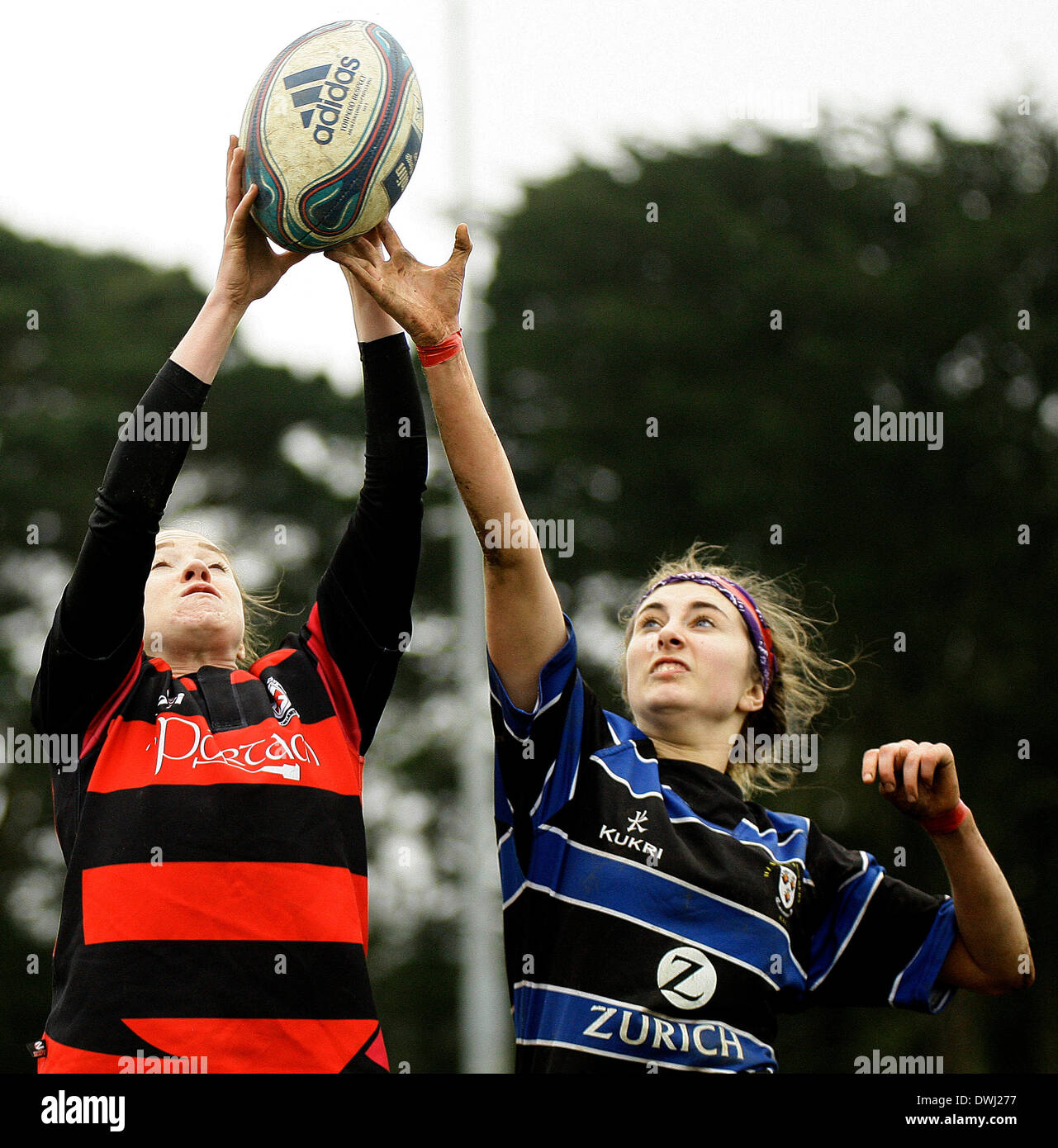 9 mars 2014 : RUGBY Wexford renardes v Tullamore, joué à Park Lane, Wexford renardes Rugby Club, Wexford. Photos Michael Cullen/irlandais Photo.org Banque D'Images