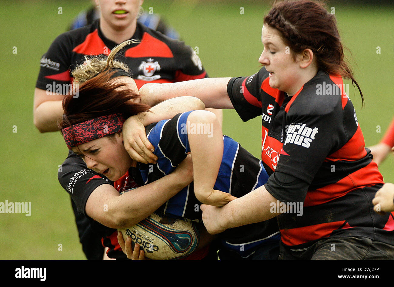9 mars 2014 : RUGBY Wexford renardes v Tullamore, joué à Park Lane, Wexford renardes Rugby Club, Wexford. Photos Michael Cullen/irlandais Photo.org Banque D'Images