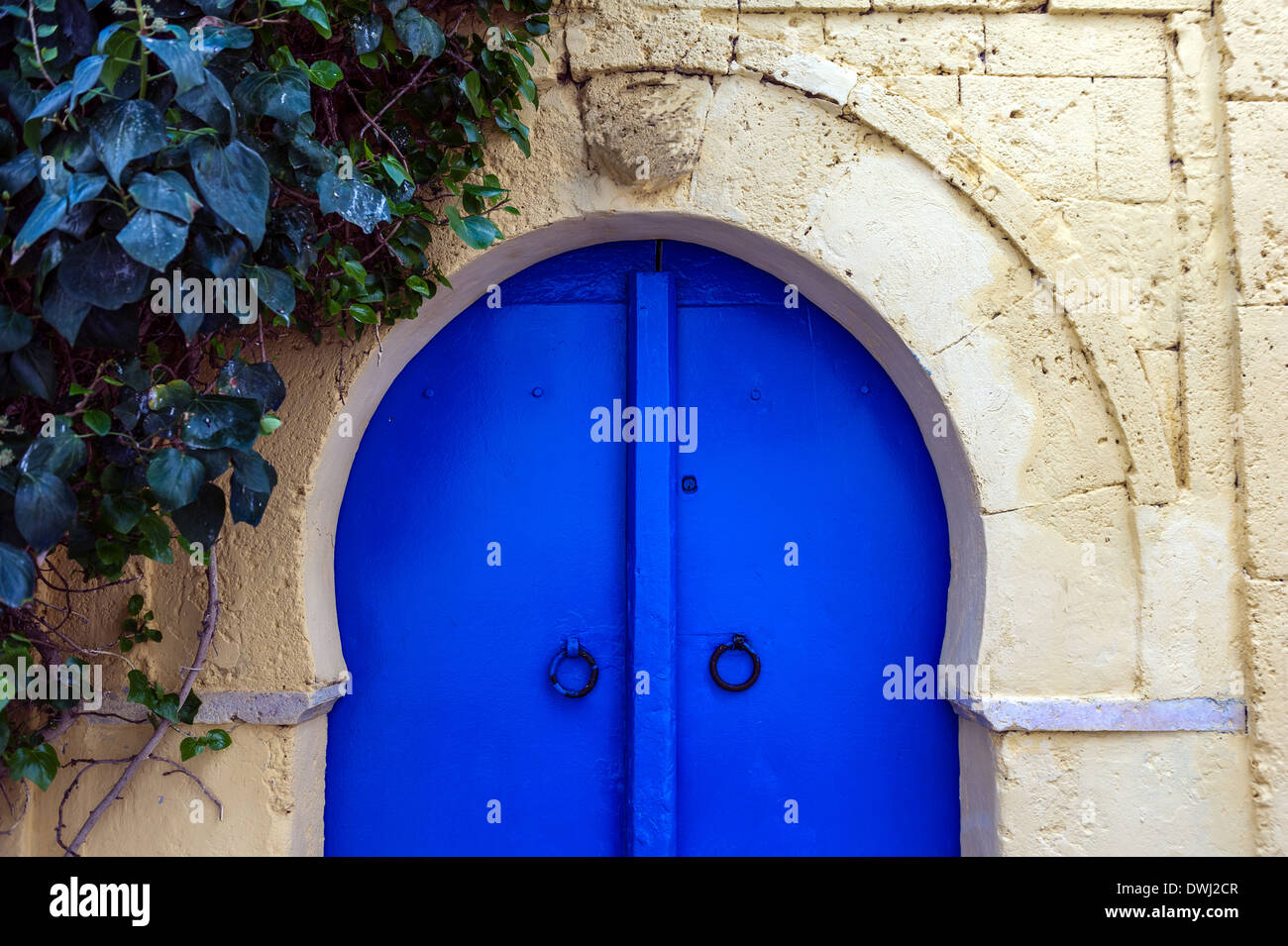 L'Afrique du Nord, Tunisie, Sidi Bou Said. Porte traditionnelle tunisienne typique. Détail. Banque D'Images