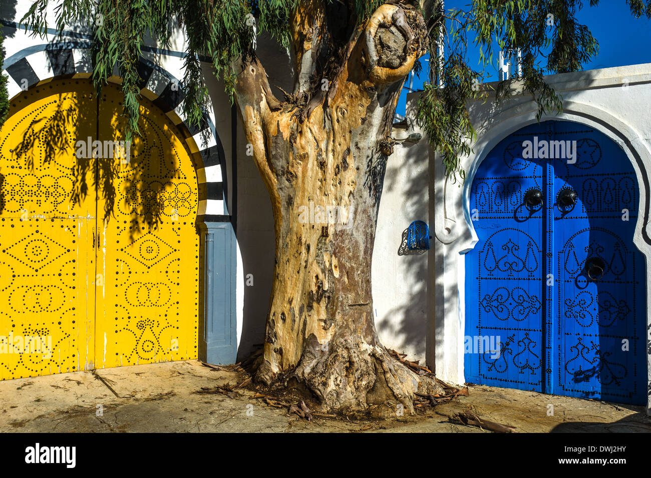 L'Afrique du Nord, Tunisie, Sidi Bou Said. Porte traditionnelle tunisienne typique. Banque D'Images