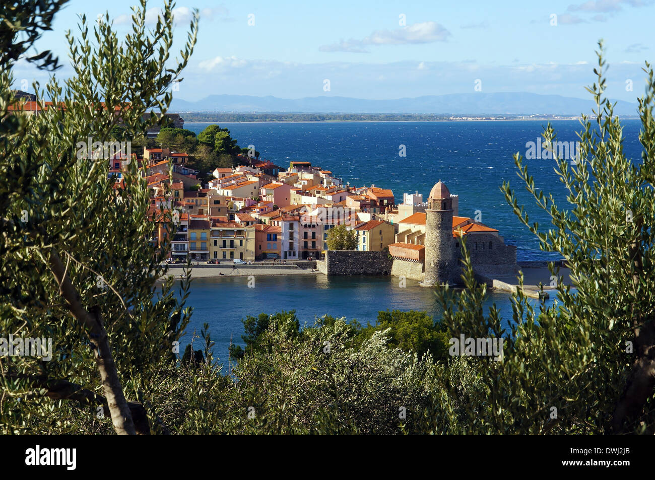 Beau village de Collioure, sur la côte de la mer Méditerranée dans le sud de la France, Roussillon, Pyrénées Orientales Banque D'Images