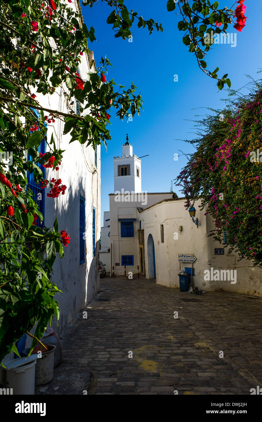 L'Afrique du Nord, Tunisie, Sidi Bou Said. Maisons blanches typiques de la médina. Banque D'Images