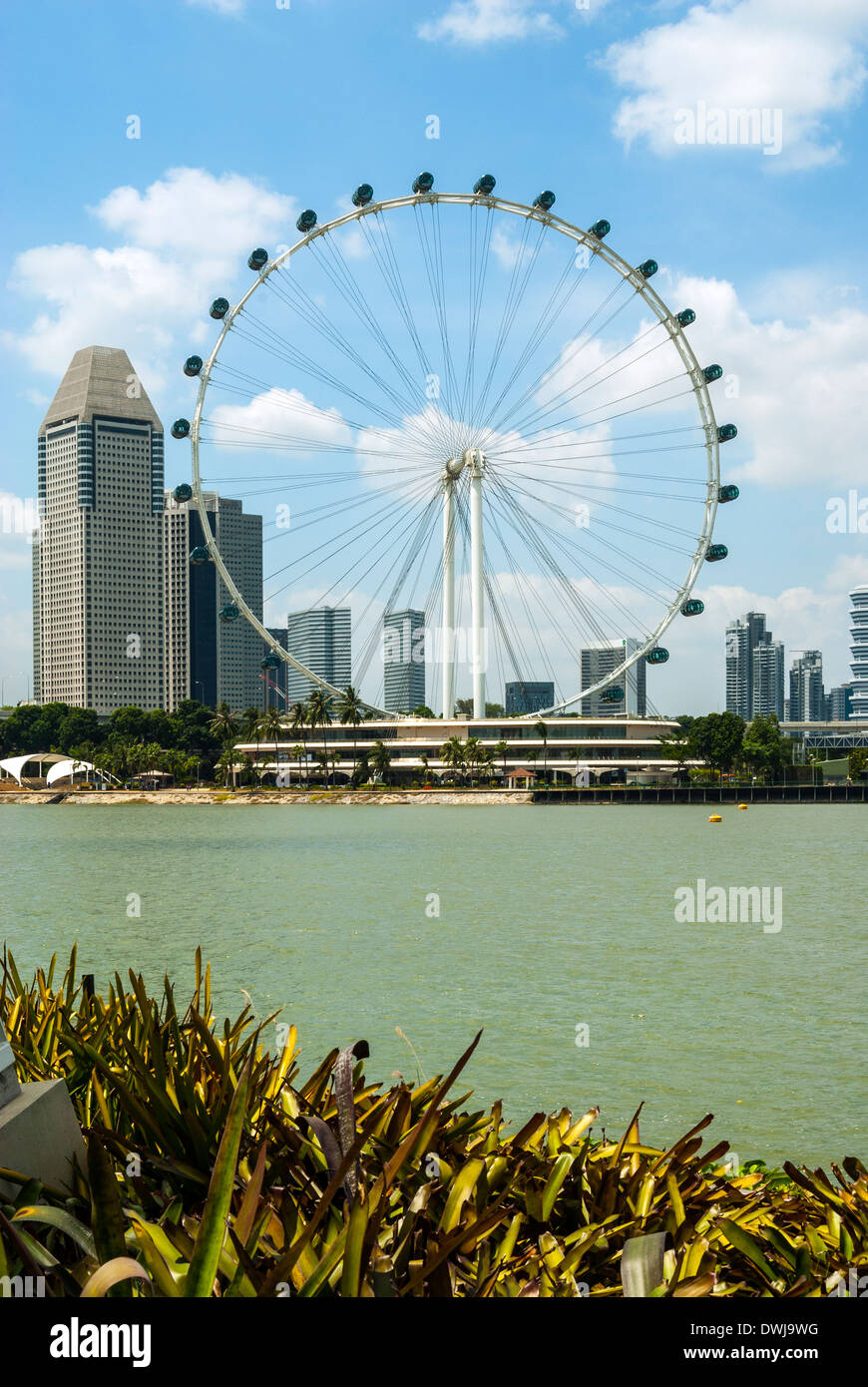 Le Singapore Flyer Banque D'Images